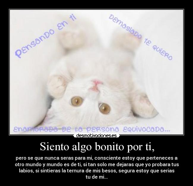 Siento algo bonito por ti, -