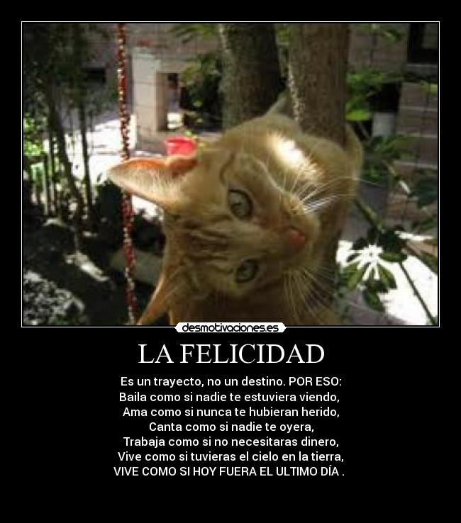 carteles felicidad camilo cortez desmotivaciones