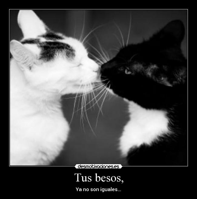 Tus besos, - Ya no son iguales...