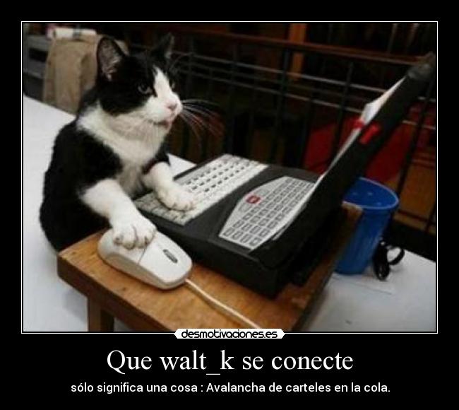 Que walt_k se conecte - 