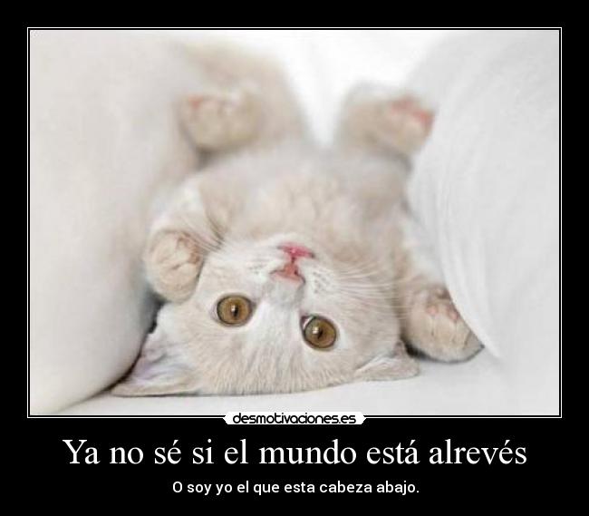 Ya no sé si el mundo está alrevés - O soy yo el que esta cabeza abajo.