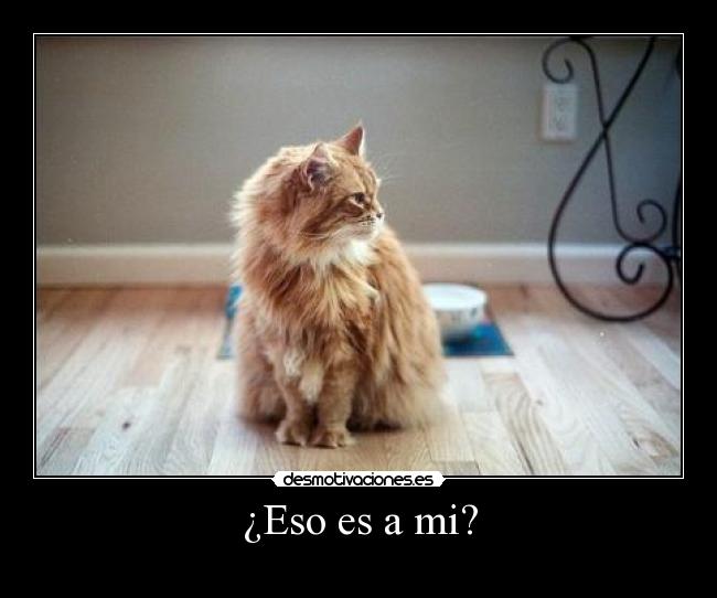 ¿Eso es a mi? - 