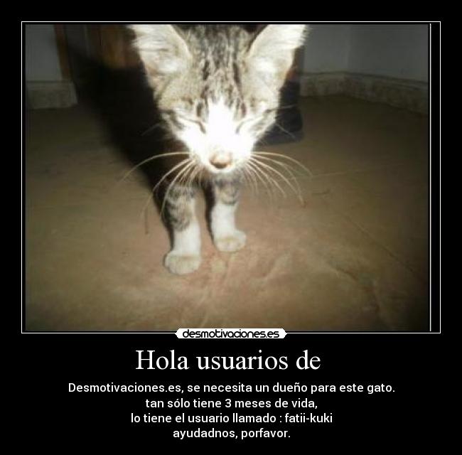 carteles surthone desmotivaciones