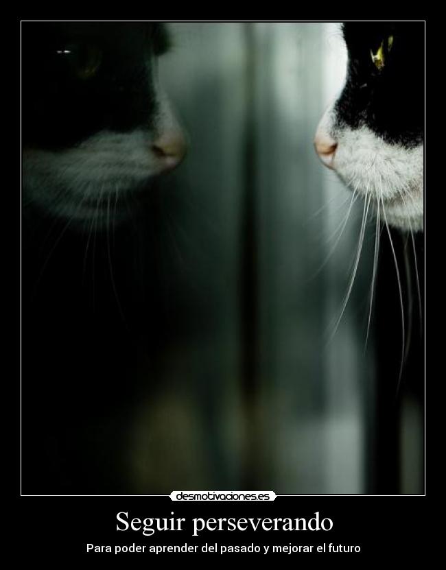 Seguir perseverando - Para poder aprender del pasado y mejorar el futuro