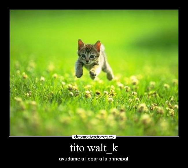 tito walt_k -