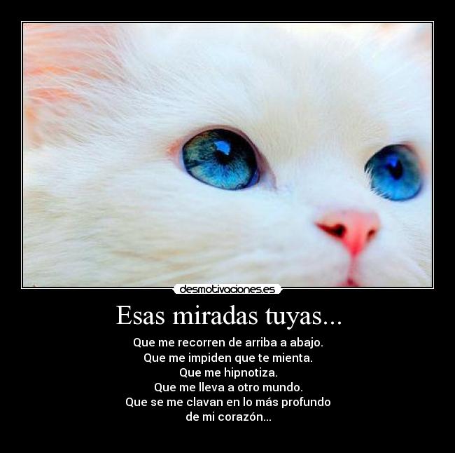 Esas miradas tuyas... - Que me recorren de arriba a abajo.
Que me impiden que te mienta.
Que me hipnotiza.
Que me lleva a otro mundo.
Que se me clavan en lo más profundo
de mi corazón...