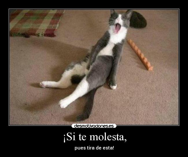 ¡Si te molesta, -