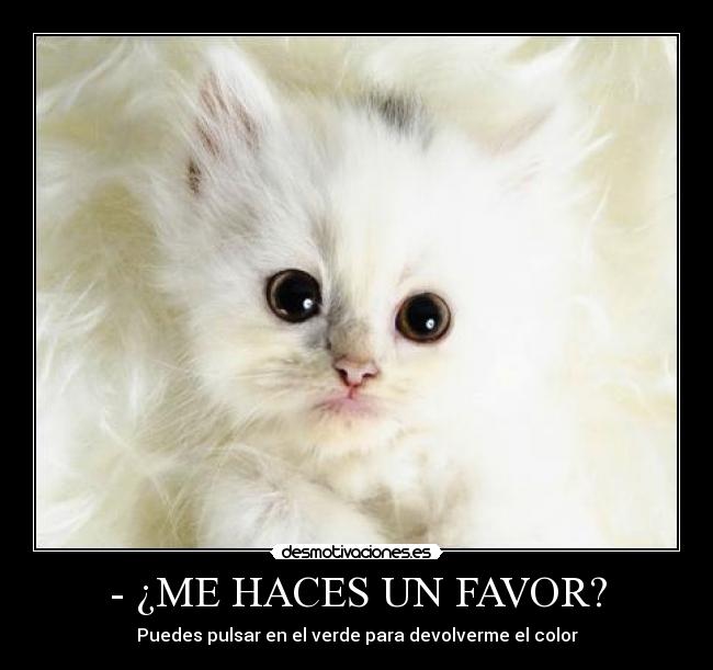 - ¿ME HACES UN FAVOR? -