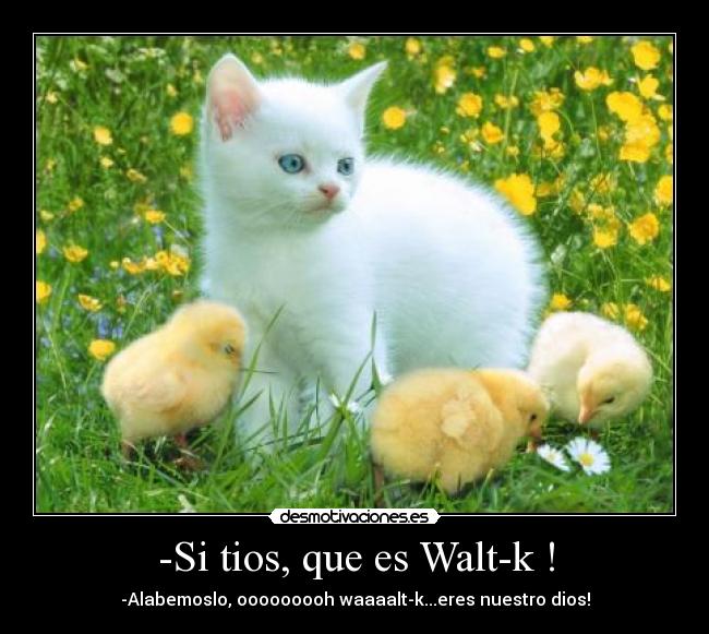 -Si tios, que es Walt-k ! - -Alabemoslo, ooooooooh waaaalt-k...eres nuestro dios!