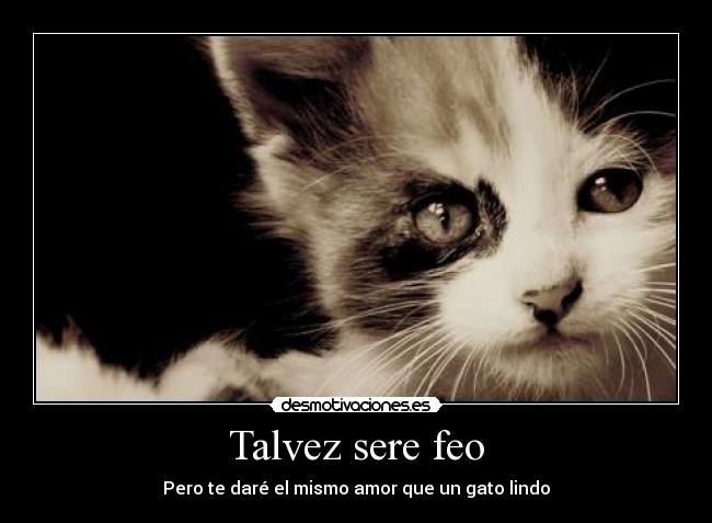 Talvez sere feo - Pero te daré el mismo amor que un gato lindo