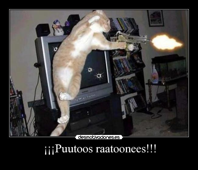 carteles ponchakoangelvegaxphobiamigue e_e desmotivaciones