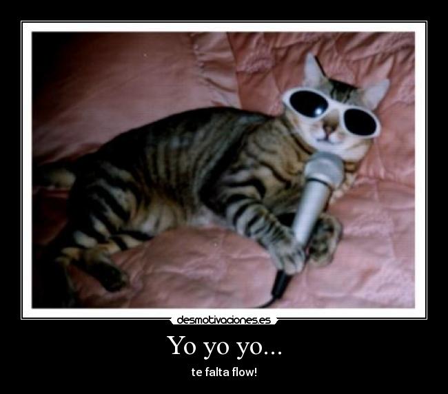 Yo yo yo... - 