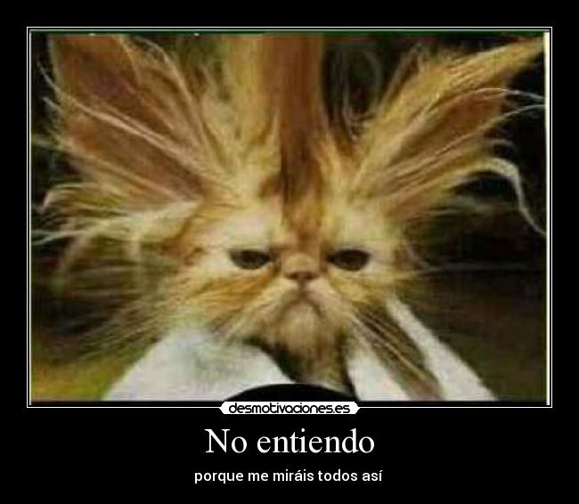 No entiendo - porque me miráis todos así