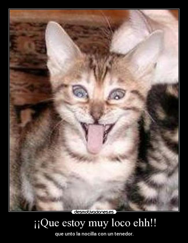 ¡¡Que estoy muy loco ehh!! - 