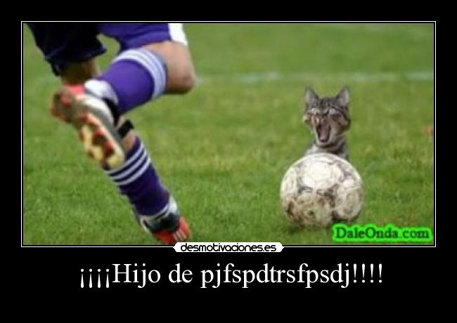 ¡¡¡¡Hijo de pjfspdtrsfpsdj!!!! - 
