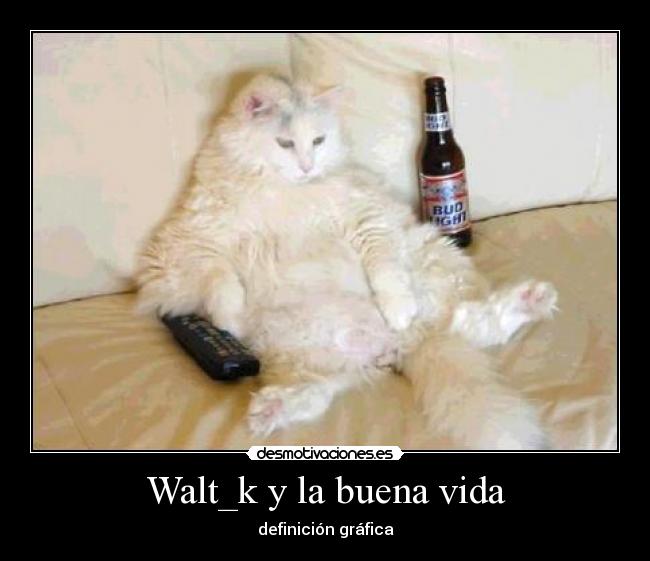 Walt_k y la buena vida - 