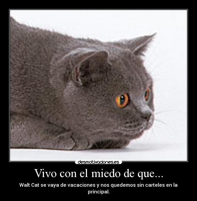 Vivo con el miedo de que... - Walt Cat se vaya de vacaciones y nos quedemos sin carteles en la principal.