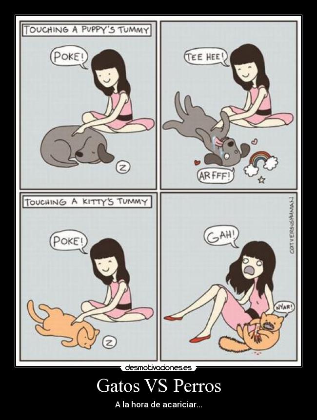 Gatos VS Perros - A la hora de acariciar...
