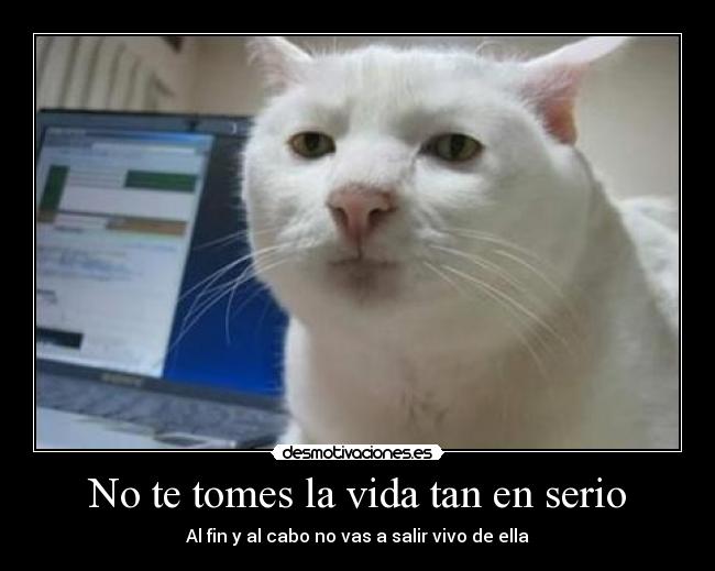 No te tomes la vida tan en serio - 