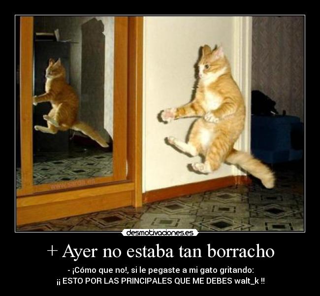 carteles mgc776 desmotivaciones