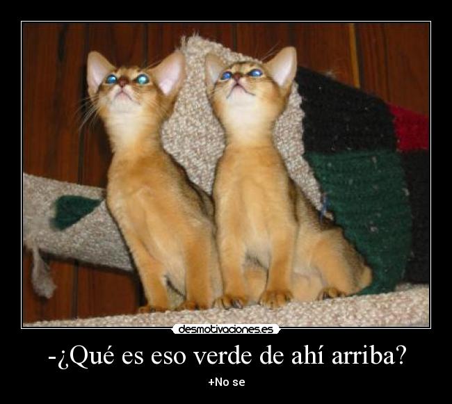 carteles ertr desmotivaciones