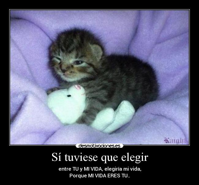 Sí tuviese que elegir -