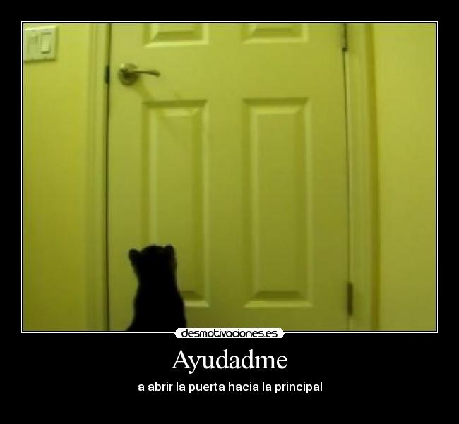 Ayudadme - 