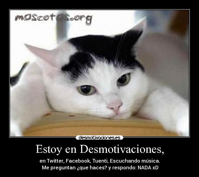 Estoy en Desmotivaciones, - en Twitter, Facebook, Tuenti, Escuchando música.
 Me preguntan ¿que haces? y respondo: NADA xD