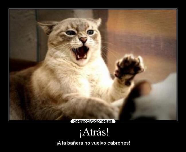 ¡Atrás! - 