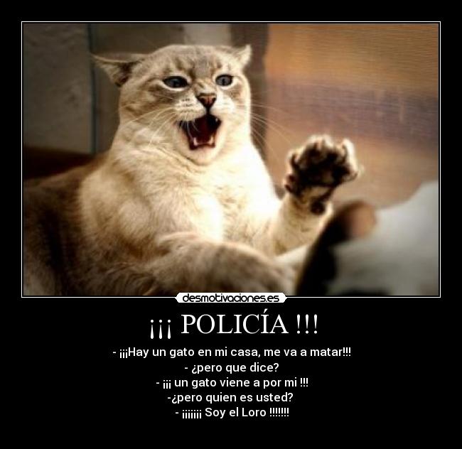 ¡¡¡ POLICÍA !!! - 