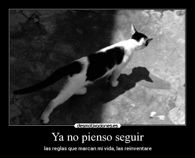 Ya no pienso seguir - 