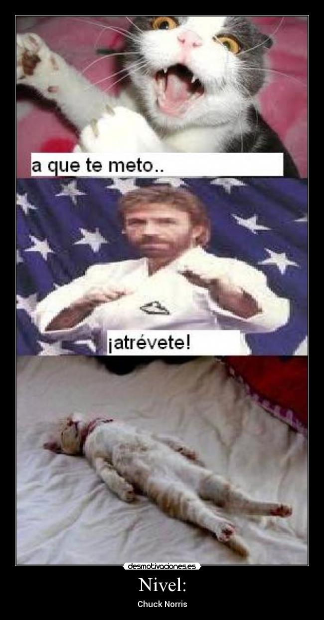 Nivel: - Chuck Norris