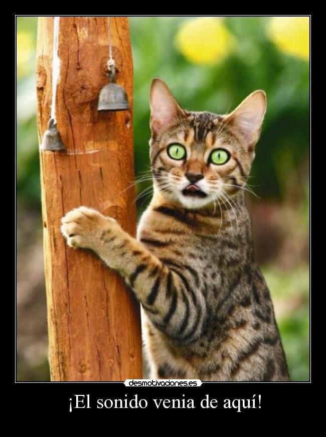 ¡El sonido venia de aquí! -