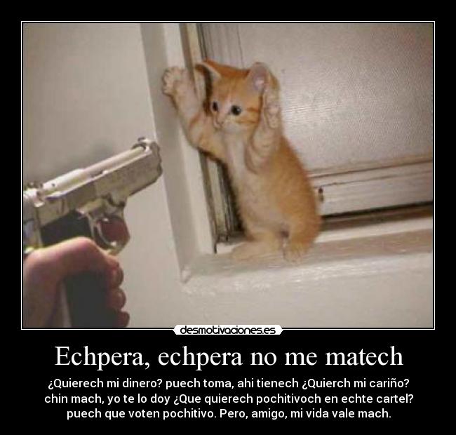 Echpera, echpera no me matech - ¿Quierech mi dinero? puech toma, ahi tienech ¿Quierch mi cariño?
chin mach, yo te lo doy ¿Que quierech pochitivoch en echte cartel?
puech que voten pochitivo. Pero, amigo, mi vida vale mach.