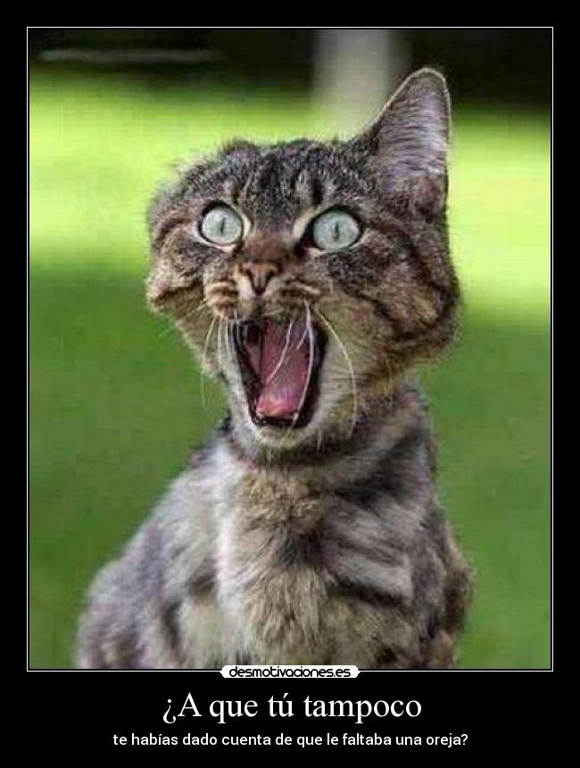 carteles ajkkahj desmotivaciones