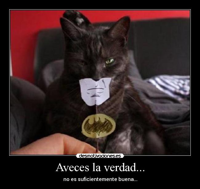 carteles gatosbatman desmotivaciones