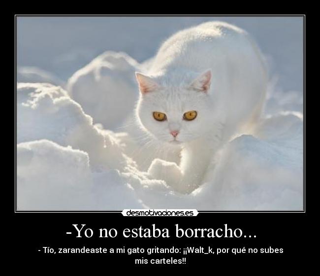 -Yo no estaba borracho... - - Tío, zarandeaste a mi gato gritando: ¡¡Walt_k, por qué no subes mis carteles!!