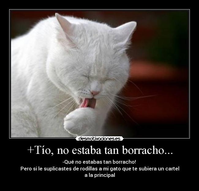 +Tío, no estaba tan borracho... - 