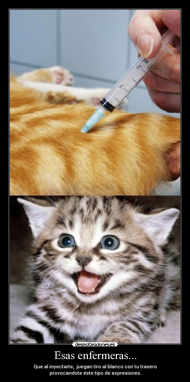 carteles expresion enfermera gato inyeccion jugar gato desmotivaciones