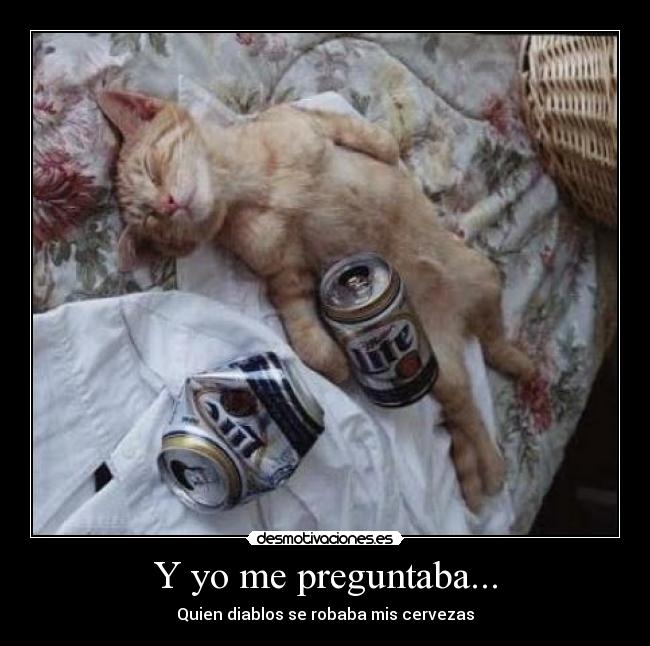 carteles preguntaba desmotivaciones