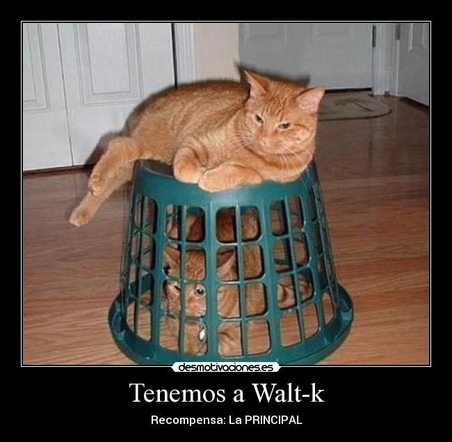Tenemos a Walt-k -