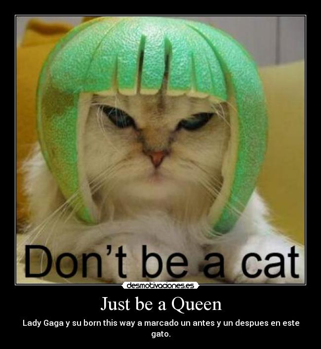 Just be a Queen - 