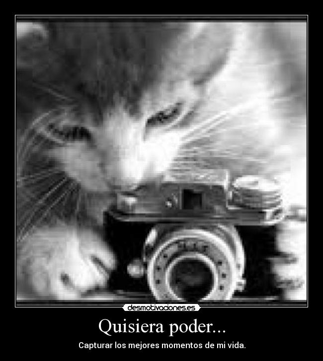 carteles mayritaaa desmotivaciones