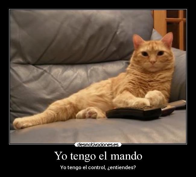Yo tengo el mando - Yo tengo el control, ¿entiendes?