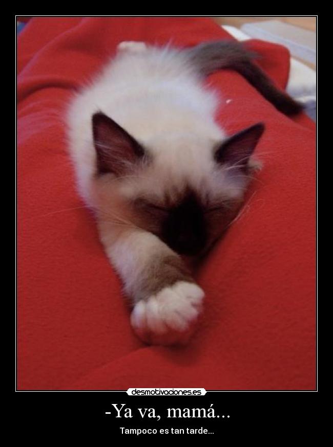 -Ya va, mamá... - Tampoco es tan tarde...