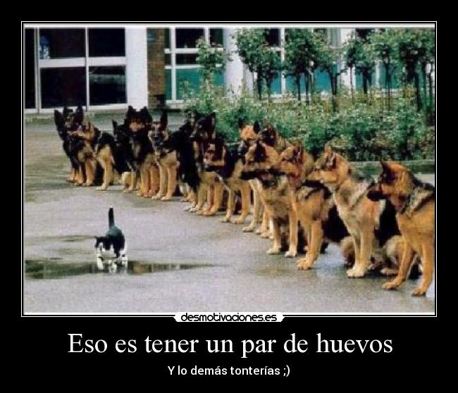 Eso es tener un par de huevos - Y lo demás tonterías ;)