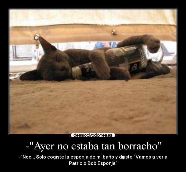 -Ayer no estaba tan borracho -