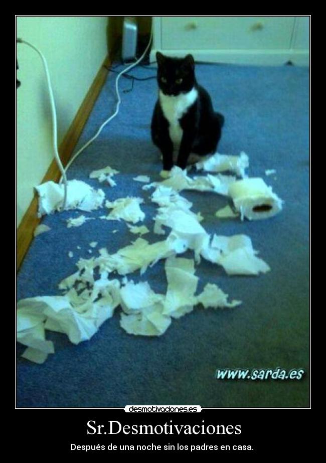 Sr.Desmotivaciones - Después de una noche sin los padres en casa.