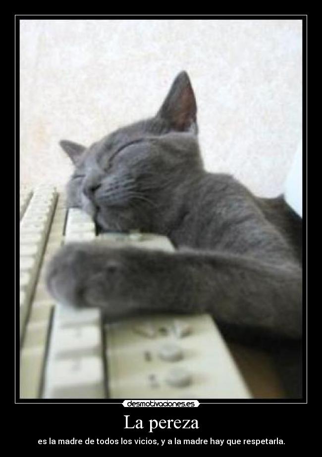 La pereza - 