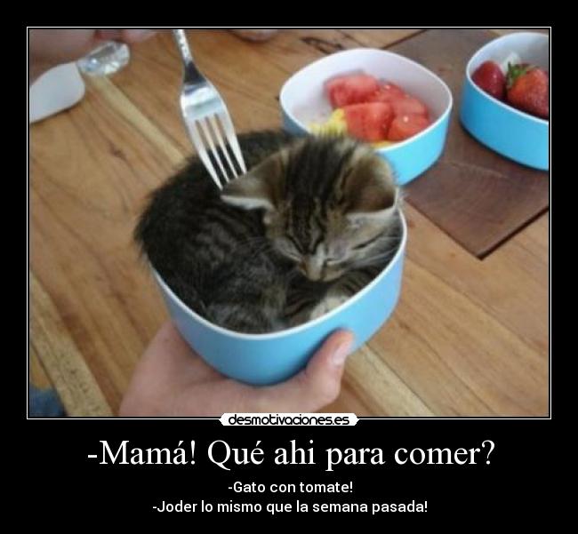 -Mamá! Qué ahi para comer? - -Gato con tomate!
-Joder lo mismo que la semana pasada!